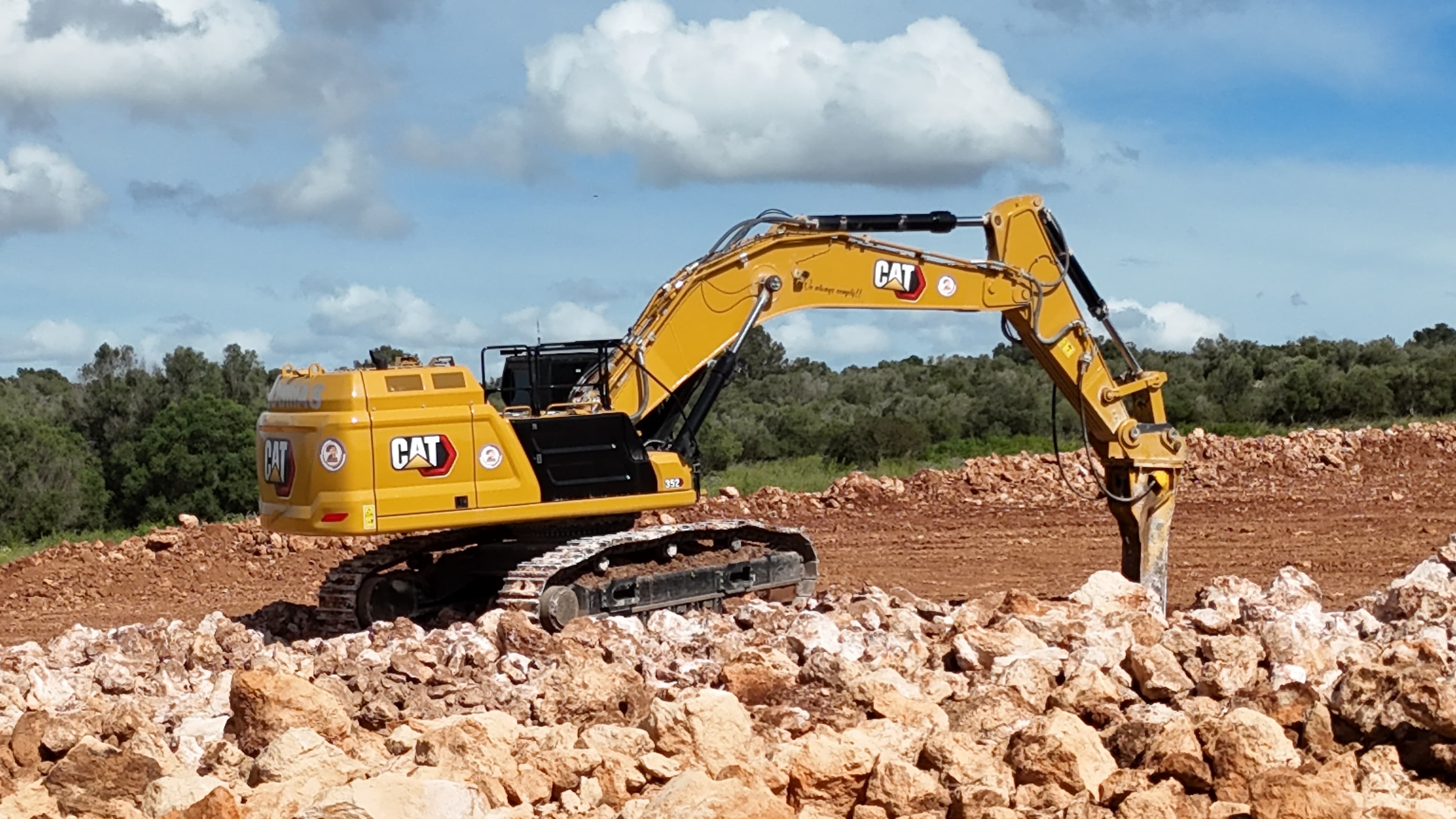 PREPARACIÓN DE TERRENO PARA NUEVA VIÑA EN SON RIBOTET miniatura 7