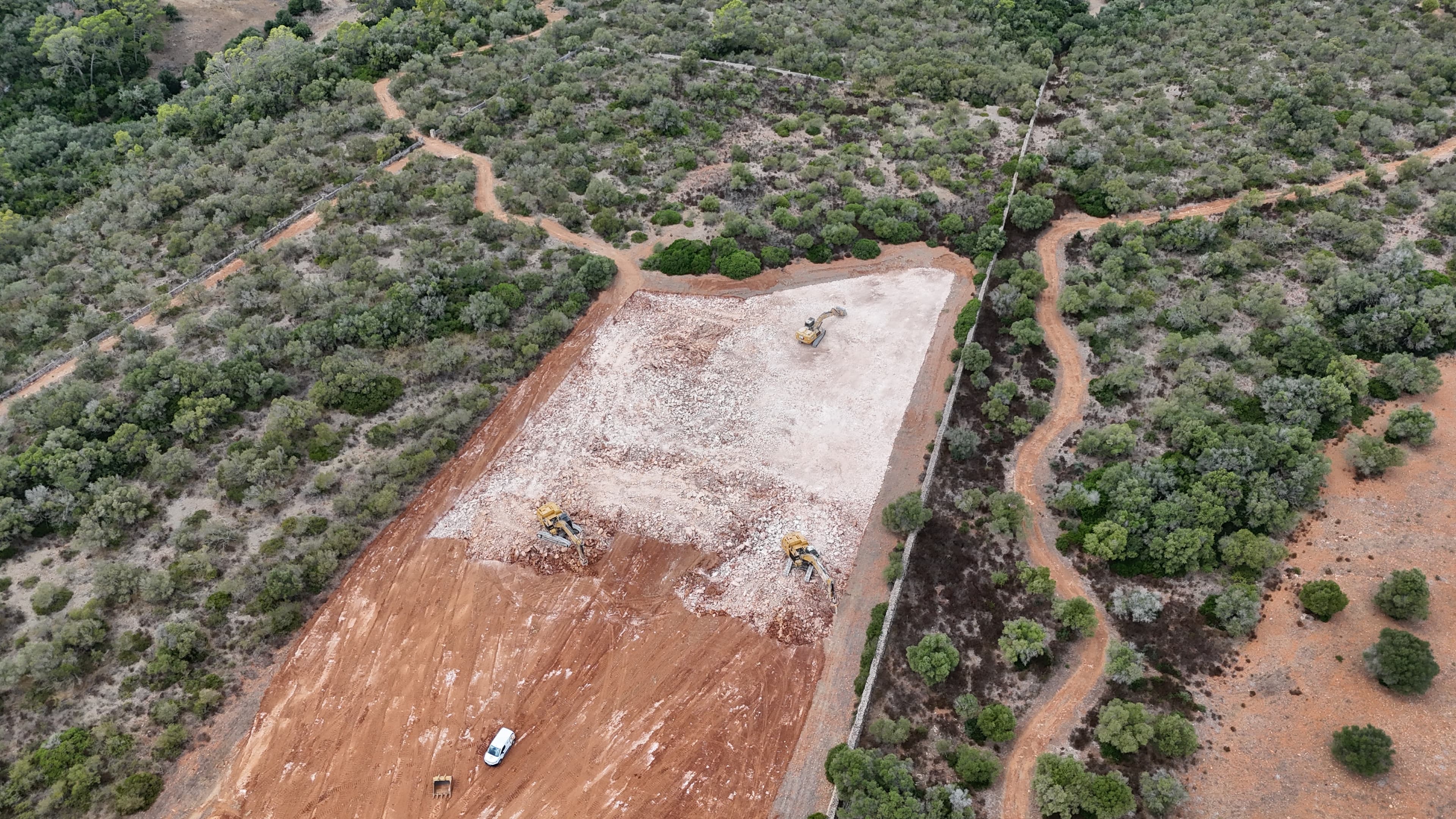 PREPARACIÓN DE TERRENO PARA NUEVA VIÑA EN SON RIBOTET miniatura 16
