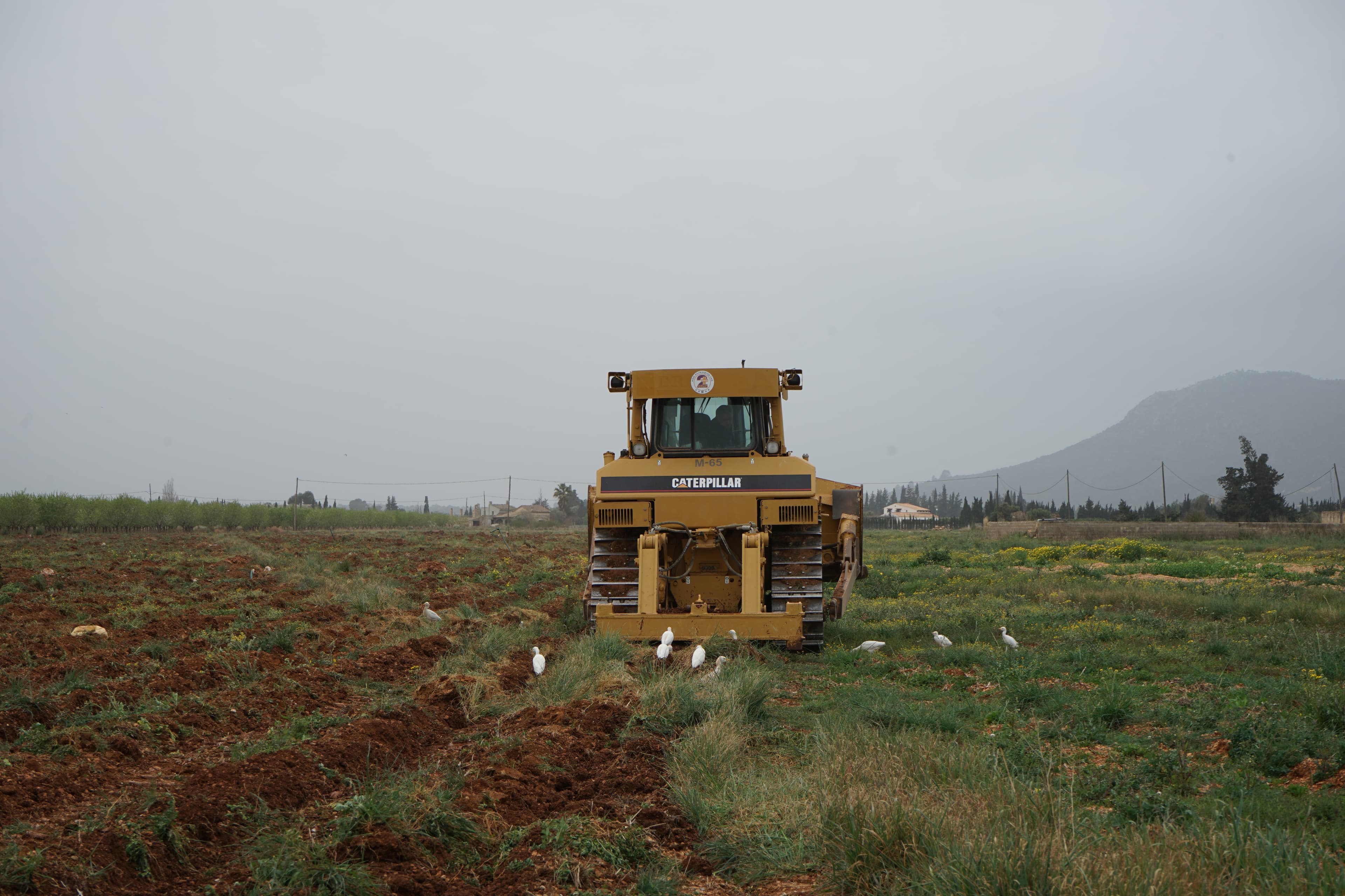 Desbroces y trabajos agrícolas 4